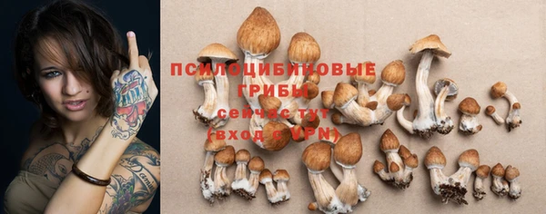 спайс Магадан