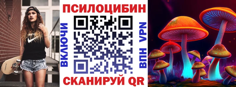 Псилоцибиновые грибы мицелий  где можно купить   hydra вход  Миллерово 